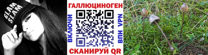 Купить где  Покровск  Галлюциногенные грибы Magic Shrooms 